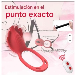 Strap On Panty Vibrador App-1