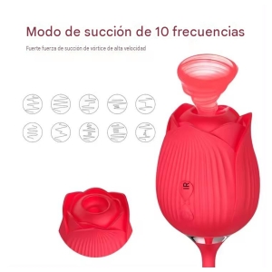 Succionador y Vibrador Recargable-1