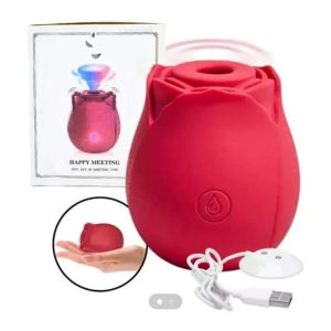 HAPPY MEETING - SUCCION-1