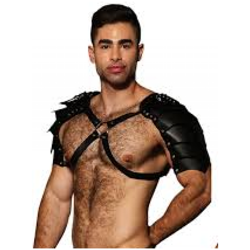 ARNES GLADIADOR - CUERO NEGRO O CHAROL ROJO