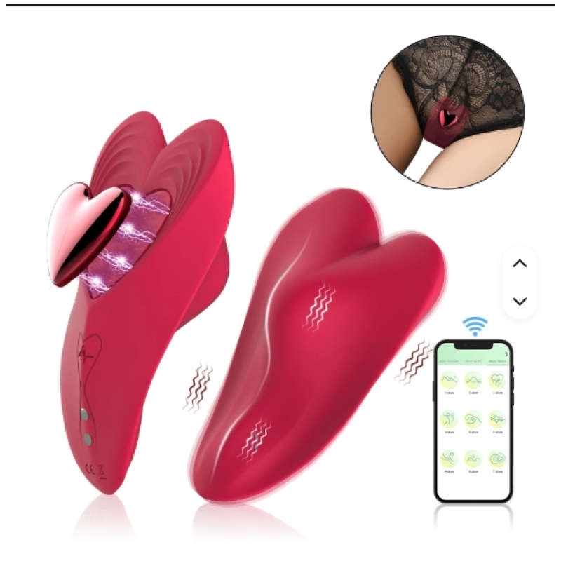 Vibrador Para Ropa Interior App